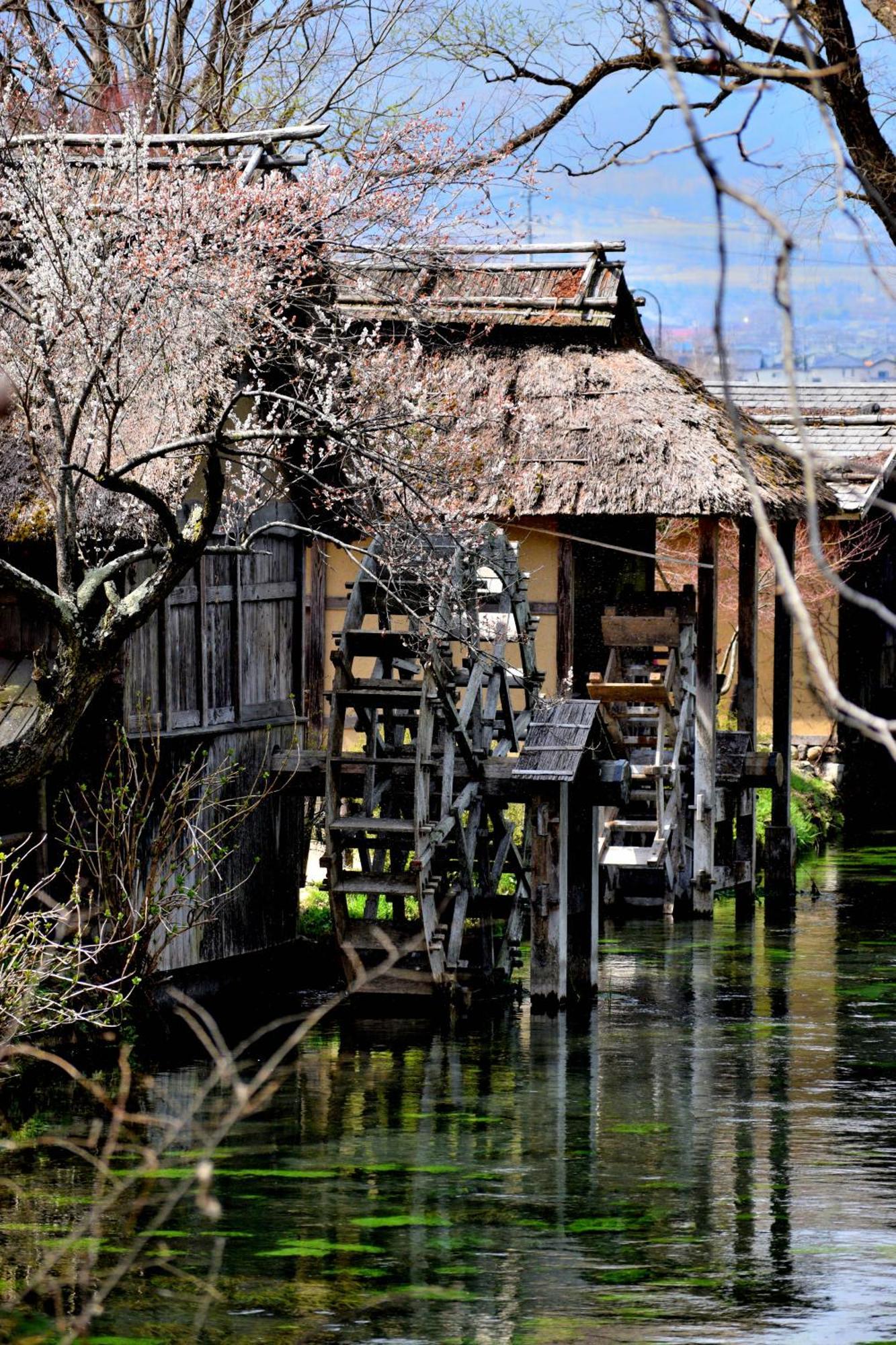 Lodge Sasamori House *